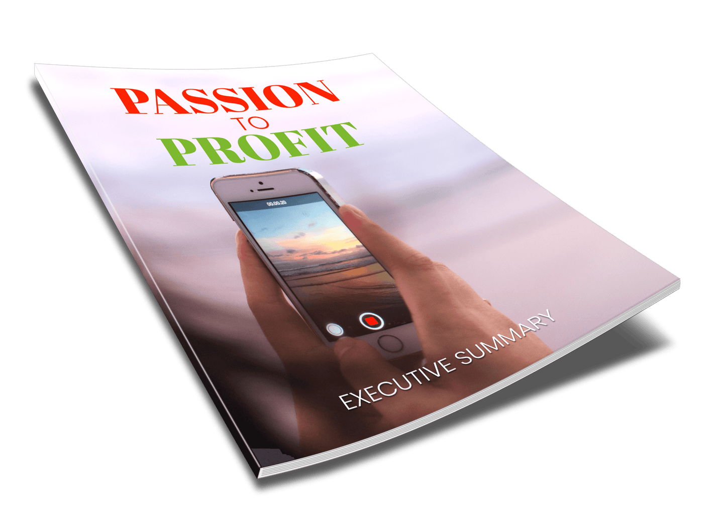 Passion To Profit - Turning Your Passion Into A Profitable Side Hustle - Executive Summary