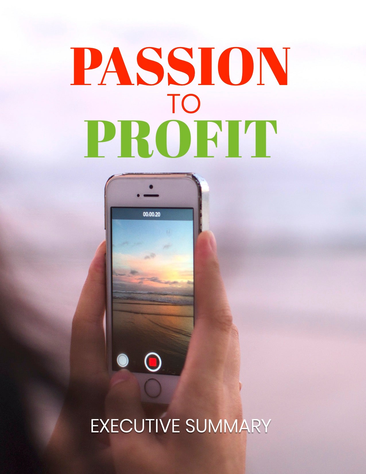 Passion To Profit - Turning Your Passion Into A Profitable Side Hustle - Executive Summary